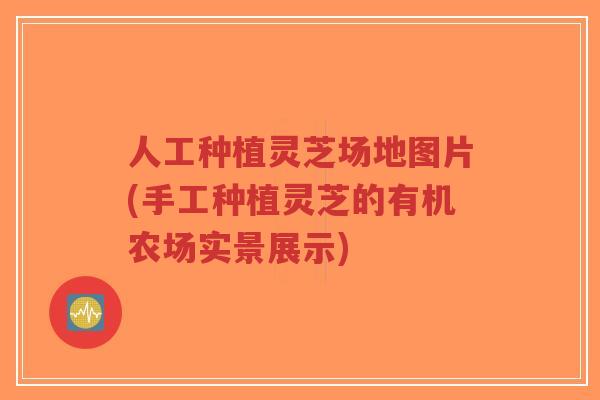 人工种植灵芝场地图片(手工种植灵芝的有机农场实景展示)-第1张图片-超越 人工种植灵芝场地图片(手工种植灵芝的有机农场实景展示)-第1张图片-超越