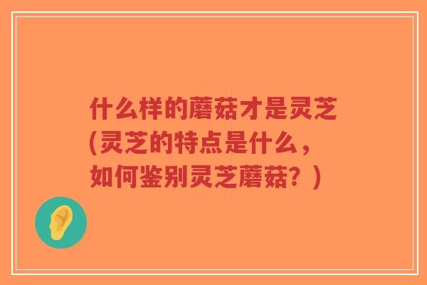 什么样的蘑菇才是灵芝(灵芝的特点是什么，如何鉴别灵芝蘑菇？)-第1张图片-超越