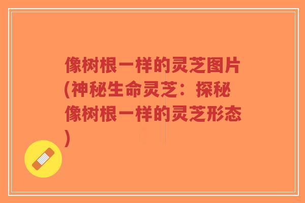 像树根一样的灵芝图片(神秘生命灵芝：探秘像树根一样的灵芝形态)-第1张图片-超越