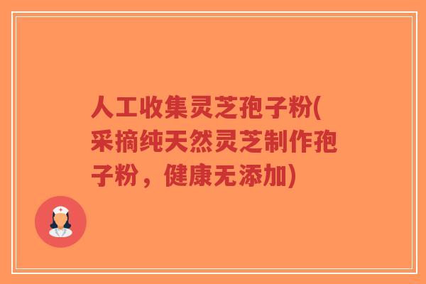 人工收集灵芝孢子粉(采摘纯天然灵芝制作孢子粉,健康无添加)-第1张图片-超越 人工收集灵芝孢子粉(采摘纯天然灵芝制作孢子粉,健康无添加)-第1张图片-超越