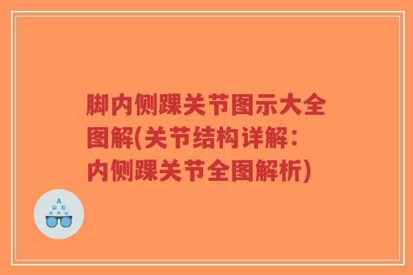 脚内侧踝关节图示大全图解(关节结构详解:内侧踝关节全图解析)-第1张图片-超越 脚内侧踝关节图示大全图解(关节结构详解:内侧踝关节全图解析)-第1张图片-超越