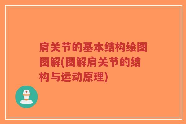 肩关节的基本结构绘图图解(图解肩关节的结构与运动原理)-第1张图片-超越 肩关节的基本结构绘图图解(图解肩关节的结构与运动原理)-第1张图片-超越