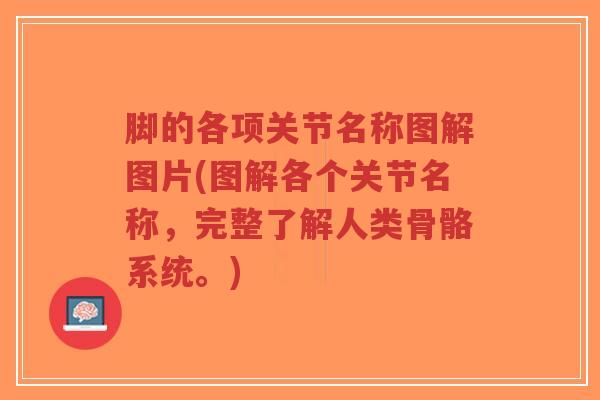 脚的各项关节名称图解图片(图解各个关节名称,完整了解人类骨骼系统。)-第1张图片-超越 脚的各项关节名称图解图片(图解各个关节名称,完整了解人类骨骼系统。)-第1张图片-超越