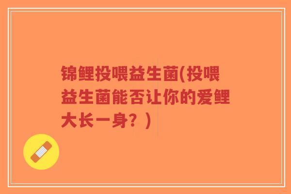 锦鲤投喂益生菌(投喂益生菌能否让你的爱鲤大长一身？)-第1张图片-超越