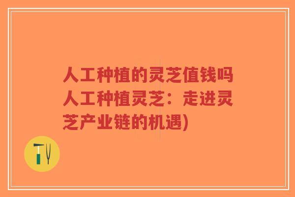 人工种植的灵芝值钱吗人工种植灵芝:走进灵芝产业链的机遇)-第1张图片-超越 人工种植的灵芝值钱吗人工种植灵芝:走进灵芝产业链的机遇)-第1张图片-超越