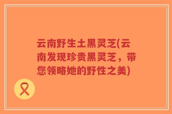 云南野生土黑灵芝(云南发现珍贵黑灵芝，带您领略她的野性之美)-第1张图片-超越