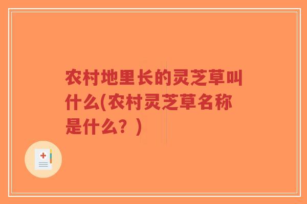 农村地里长的灵芝草叫什么(农村灵芝草名称是什么?)-第1张图片-超越 农村地里长的灵芝草叫什么(农村灵芝草名称是什么?)-第1张图片-超越