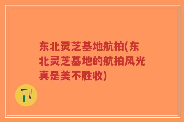 东北灵芝基地航拍(东北灵芝基地的航拍风光真是美不胜收)-第1张图片-超越