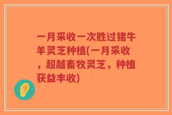 一月采收一次胜过猪牛羊灵芝种植(一月采收,超越畜牧灵芝,种植获益丰收)-第1张图片-超越 一月采收一次胜过猪牛羊灵芝种植(一月采收,超越畜牧灵芝,种植获益丰收)-第1张图片-超越