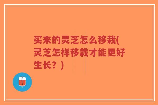 买来的灵芝怎么移栽(灵芝怎样移栽才能更好生长?)-第1张图片-超越 买来的灵芝怎么移栽(灵芝怎样移栽才能更好生长?)-第1张图片-超越