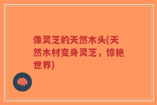 像灵芝的天然木头(天然木材变身灵芝,惊艳世界)-第1张图片-超越 像灵芝的天然木头(天然木材变身灵芝,惊艳世界)-第1张图片-超越