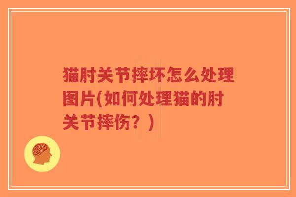 猫肘关节摔坏怎么处理图片(如何处理猫的肘关节摔伤?)-第1张图片-超越 猫肘关节摔坏怎么处理图片(如何处理猫的肘关节摔伤?)-第1张图片-超越