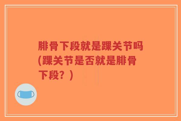 腓骨下段就是踝关节吗(踝关节是否就是腓骨下段?)-第1张图片-超越 腓骨下段就是踝关节吗(踝关节是否就是腓骨下段?)-第1张图片-超越