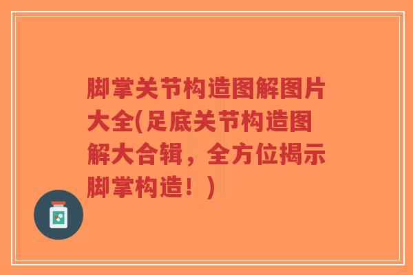 脚掌关节构造图解图片大全(足底关节构造图解大合辑,全方位揭示脚掌构造!)-第1张图片-超越 脚掌关节构造图解图片大全(足底关节构造图解大合辑,全方位揭示脚掌构造!)-第1张图片-超越