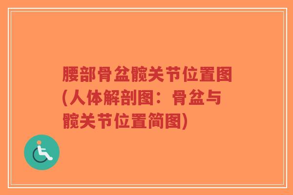 腰部骨盆髋关节位置图(人体解剖图:骨盆与髋关节位置简图)-第1张图片-超越 腰部骨盆髋关节位置图(人体解剖图:骨盆与髋关节位置简图)-第1张图片-超越