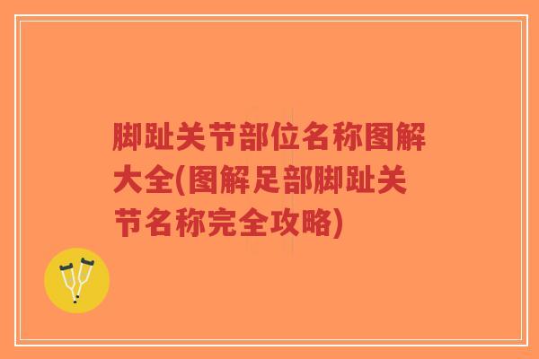 脚趾关节部位名称图解大全(图解足部脚趾关节名称完全攻略)-第1张图片-超越 脚趾关节部位名称图解大全(图解足部脚趾关节名称完全攻略)-第1张图片-超越