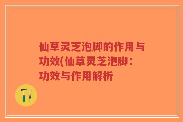 仙草灵芝泡脚的作用与功效(仙草灵芝泡脚：功效与作用解析-第1张图片-超越