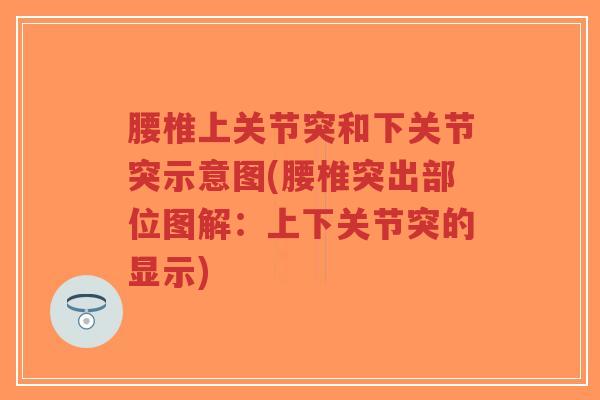 腰椎上关节突和下关节突示意图(腰椎突出部位图解:上下关节突的显示)-第1张图片-超越 腰椎上关节突和下关节突示意图(腰椎突出部位图解:上下关节突的显示)-第1张图片-超越