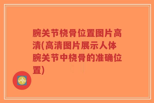 腕关节桡骨位置图片高清(高清图片展示人体腕关节中桡骨的准确位置)-第1张图片-超越 腕关节桡骨位置图片高清(高清图片展示人体腕关节中桡骨的准确位置)-第1张图片-超越