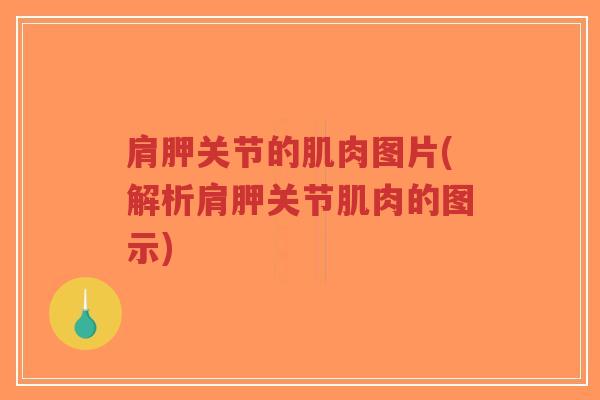 肩胛关节的肌肉图片(解析肩胛关节肌肉的图示)-第1张图片-超越
