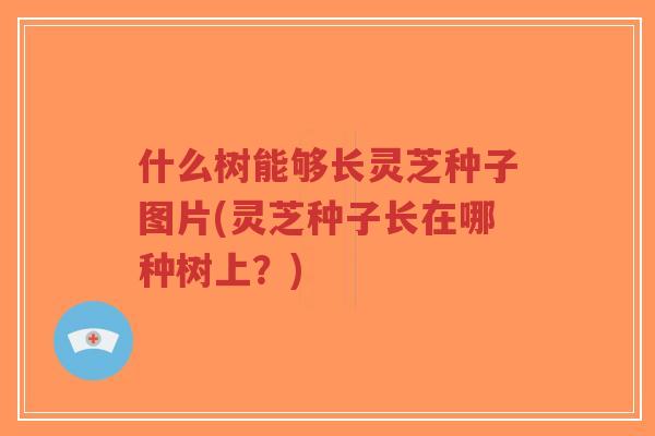 什么树能够长灵芝种子图片(灵芝种子长在哪种树上?)-第1张图片-超越 什么树能够长灵芝种子图片(灵芝种子长在哪种树上?)-第1张图片-超越