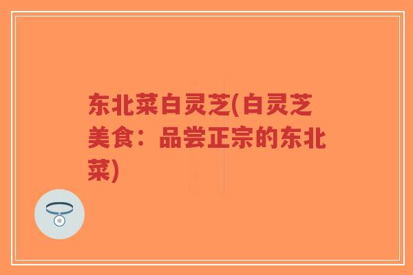 东北菜白灵芝(白灵芝美食:品尝正宗的东北菜)-第1张图片-超越 东北菜白灵芝(白灵芝美食:品尝正宗的东北菜)-第1张图片-超越