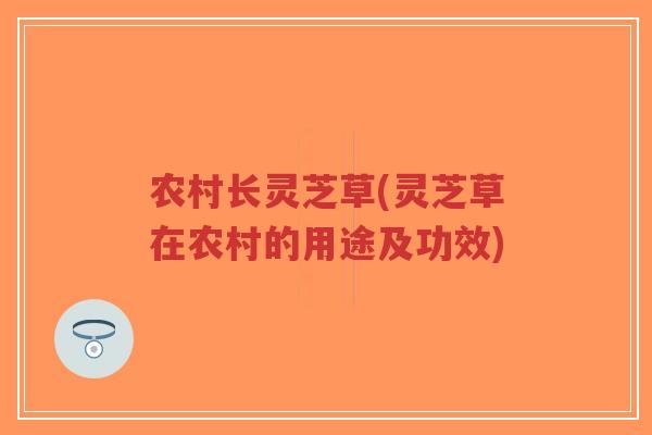 农村长灵芝草(灵芝草在农村的用途及功效)-第1张图片-超越 农村长灵芝草(灵芝草在农村的用途及功效)-第1张图片-超越