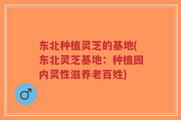 东北种植灵芝的基地(东北灵芝基地：种植园内灵性滋养老百姓)-第1张图片-超越