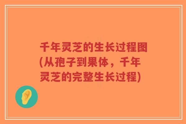 千年灵芝的生长过程图(从孢子到果体,千年灵芝的完整生长过程)-第1张图片-超越 千年灵芝的生长过程图(从孢子到果体,千年灵芝的完整生长过程)-第1张图片-超越