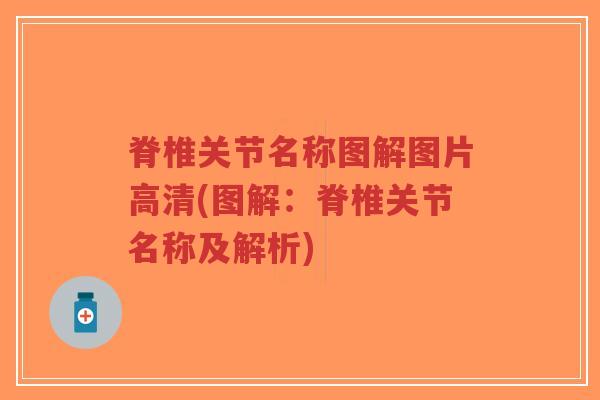 脊椎关节名称图解图片高清(图解：脊椎关节名称及解析)-第1张图片-超越