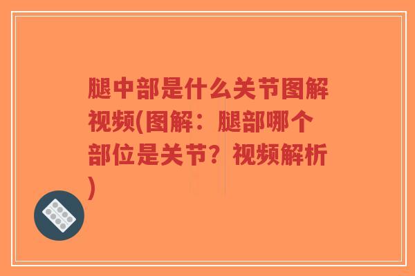 腿中部是什么关节图解视频(图解:腿部哪个部位是关节?视频解析)-第1张图片-超越 腿中部是什么关节图解视频(图解:腿部哪个部位是关节?视频解析)-第1张图片-超越