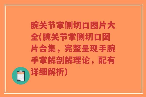 腕关节掌侧切口图片大全(腕关节掌侧切口图片合集,完整呈现手腕手掌解剖解理论,配有详细解析)-第1张图片-超越 腕关节掌侧切口图片大全(腕关节掌侧切口图片合集,完整呈现手腕手掌解剖解理论,配有详细解析)-第1张图片-超越