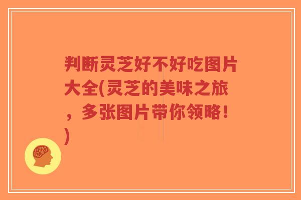 判断灵芝好不好吃图片大全(灵芝的美味之旅,多张图片带你领略!)-第1张图片-超越 判断灵芝好不好吃图片大全(灵芝的美味之旅,多张图片带你领略!)-第1张图片-超越