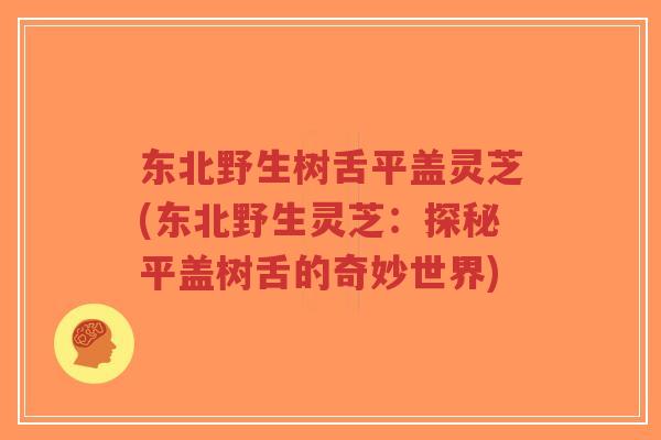 东北野生树舌平盖灵芝(东北野生灵芝：探秘平盖树舌的奇妙世界)-第1张图片-超越