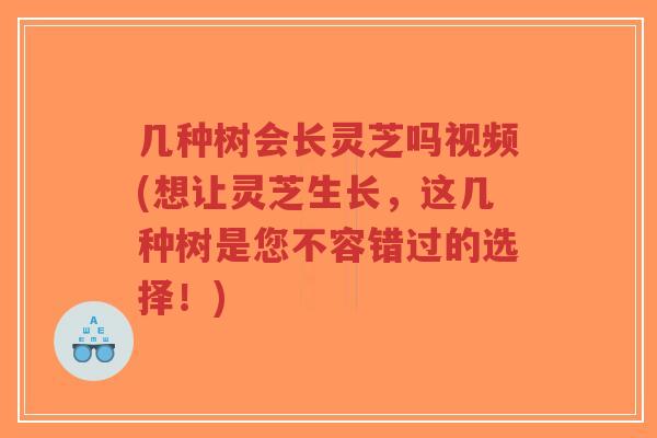 几种树会长灵芝吗视频(想让灵芝生长,这几种树是您不容错过的选择!)-第1张图片-超越 几种树会长灵芝吗视频(想让灵芝生长,这几种树是您不容错过的选择!)-第1张图片-超越