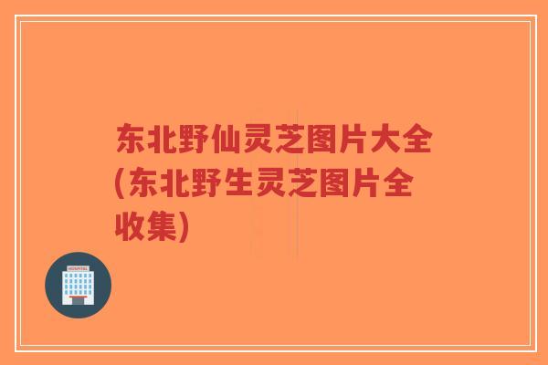 东北野仙灵芝图片大全(东北野生灵芝图片全收集)-第1张图片-超越