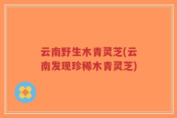 云南野生木青灵芝(云南发现珍稀木青灵芝)-第1张图片-超越 云南野生木青灵芝(云南发现珍稀木青灵芝)-第1张图片-超越