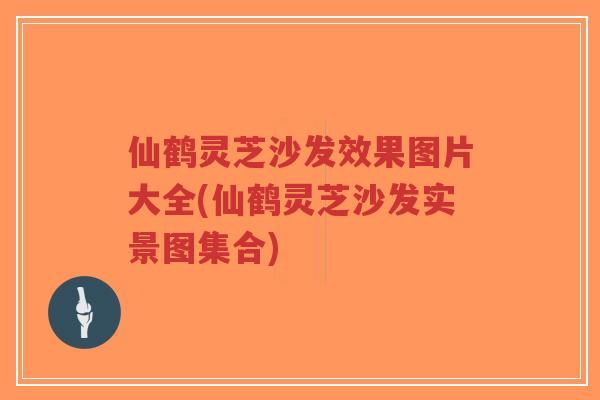 仙鹤灵芝沙发效果图片大全(仙鹤灵芝沙发实景图集合)-第1张图片-超越 仙鹤灵芝沙发效果图片大全(仙鹤灵芝沙发实景图集合)-第1张图片-超越