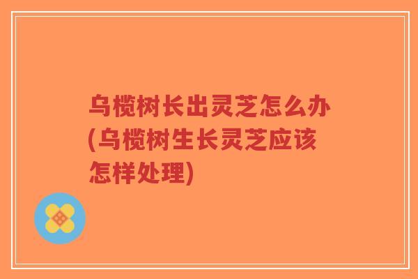 乌榄树长出灵芝怎么办(乌榄树生长灵芝应该怎样处理)-第1张图片-超越