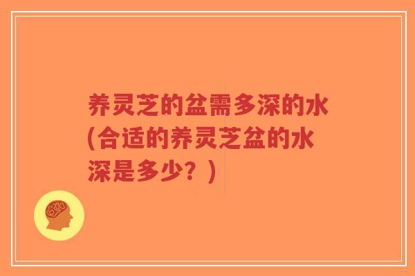 养灵芝的盆需多深的水(合适的养灵芝盆的水深是多少?)-第1张图片-超越 养灵芝的盆需多深的水(合适的养灵芝盆的水深是多少?)-第1张图片-超越