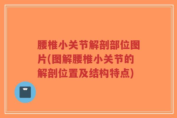 腰椎小关节解剖部位图片(图解腰椎小关节的解剖位置及结构特点)-第1张图片-超越 腰椎小关节解剖部位图片(图解腰椎小关节的解剖位置及结构特点)-第1张图片-超越