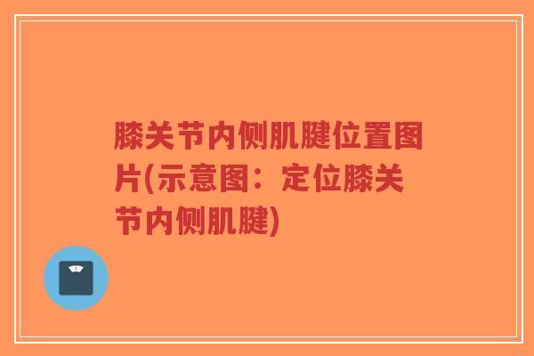 膝关节内侧肌腱位置图片(示意图:定位膝关节内侧肌腱)-第1张图片-超越 膝关节内侧肌腱位置图片(示意图:定位膝关节内侧肌腱)-第1张图片-超越