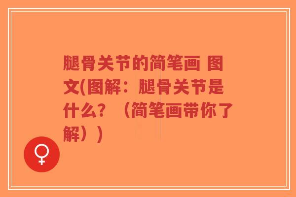 腿骨关节的简笔画 图文(图解:腿骨关节是什么?(简笔画带你了解))-第1张图片-超越 腿骨关节的简笔画 图文(图解:腿骨关节是什么?(简笔画带你了解))-第1张图片-超越