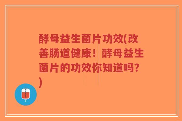 酵母益生菌片功效(改善肠道健康!酵母益生菌片的功效你知道吗?)-第1张图片-超越 酵母益生菌片功效(改善肠道健康!酵母益生菌片的功效你知道吗?)-第1张图片-超越
