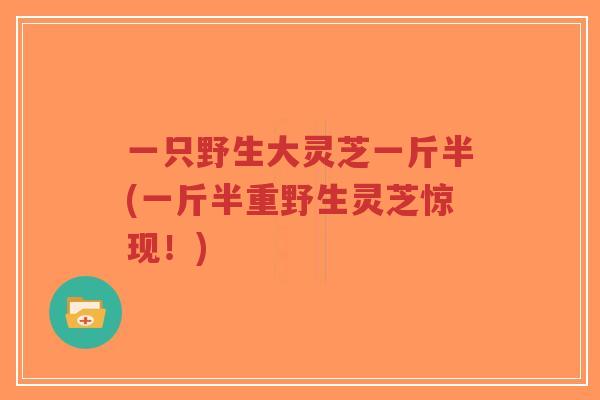 一只野生大灵芝一斤半(一斤半重野生灵芝惊现！)-第1张图片-超越