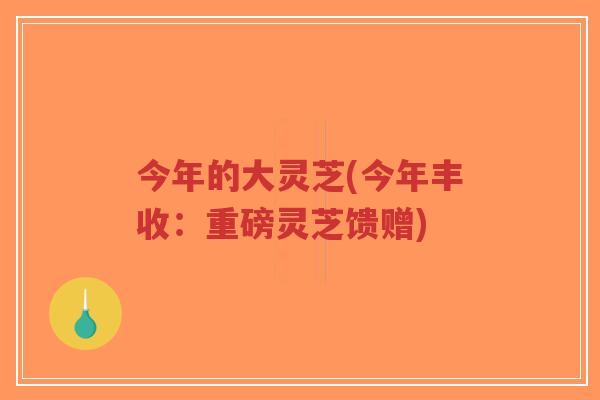 今年的大灵芝(今年丰收:重磅灵芝馈赠)-第1张图片-超越 今年的大灵芝(今年丰收:重磅灵芝馈赠)-第1张图片-超越