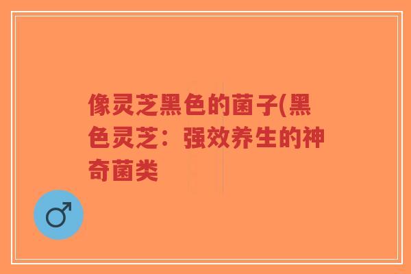 像灵芝黑色的菌子(黑色灵芝:强效养生的神奇菌类-第1张图片-超越 像灵芝黑色的菌子(黑色灵芝:强效养生的神奇菌类-第1张图片-超越