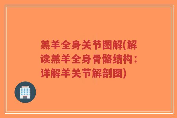 羔羊全身关节图解(解读羔羊全身骨骼结构：详解羊关节解剖图)-第1张图片-超越