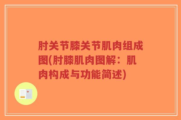 肘关节膝关节肌肉组成图(肘膝肌肉图解:肌肉构成与功能简述)-第1张图片-超越 肘关节膝关节肌肉组成图(肘膝肌肉图解:肌肉构成与功能简述)-第1张图片-超越