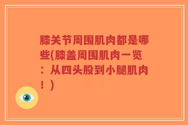 膝关节周围肌肉都是哪些(膝盖周围肌肉一览:从四头股到小腿肌肉!)-第1张图片-超越 膝关节周围肌肉都是哪些(膝盖周围肌肉一览:从四头股到小腿肌肉!)-第1张图片-超越